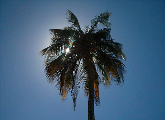 Netto ist neuer American Express Membership Rewards Partner