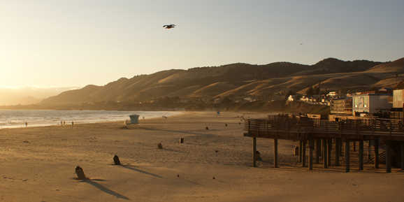 20.000 Miles & More Meilen WELT AM SONNTAG Abo 20.000 Miles & More Meilen WELT AM SONNTAG Abo