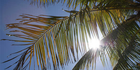 2.500 Meilen für eine Best Western Übernachtung 5fach Meilenbonus Teaser 2.500 Meilen für eine Best Western Übernachtung 5fach Meilenbonus