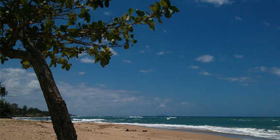 7500 Lufthansa Miles More Meilen für Neuvertrag PYUR