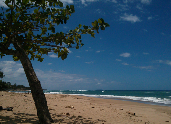 7500 Lufthansa Miles More Meilen für Neuvertrag PYUR