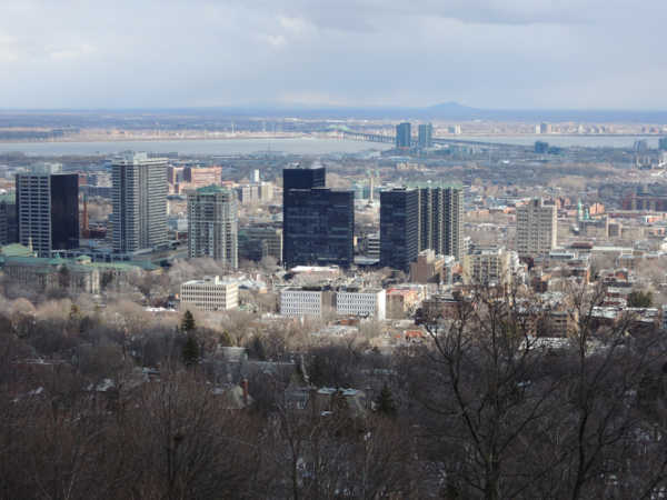 Lohnt sich der PAYBACK Yello Strom Vertrag mit 10000 Extra Punkten