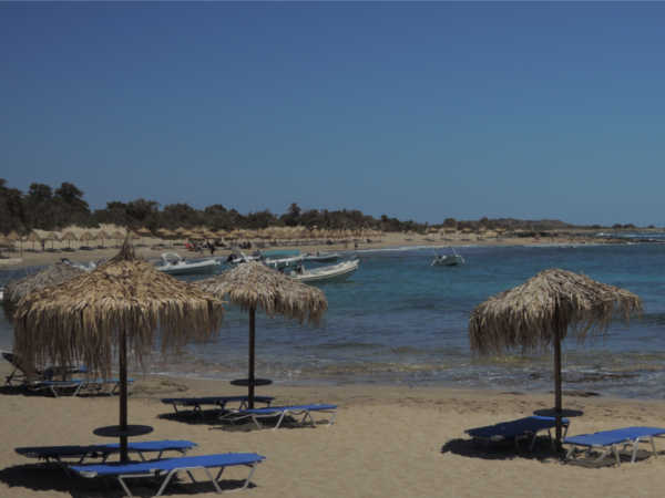 Mit der PAYBACK Zweitkarte mehr Punkte und Miles & More Meilen sammeln