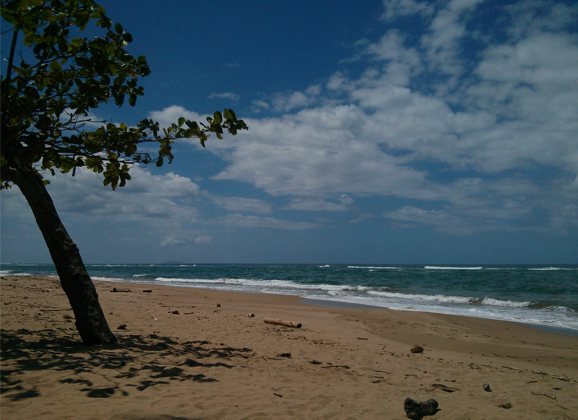 10.060 PAYBACK Punkte - Lufthansa Miles & More Meilen für 114€ mit HÖRZU Zeitungsabo Weekend Special