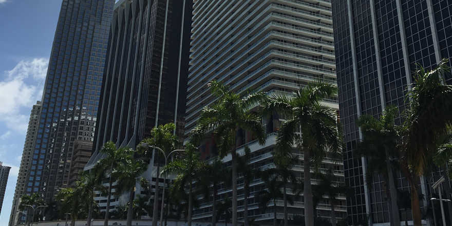 55.000 Miles & More Prämienmeilen mit einem Jahresabo WELT AM SONNTAG und DIE WELT