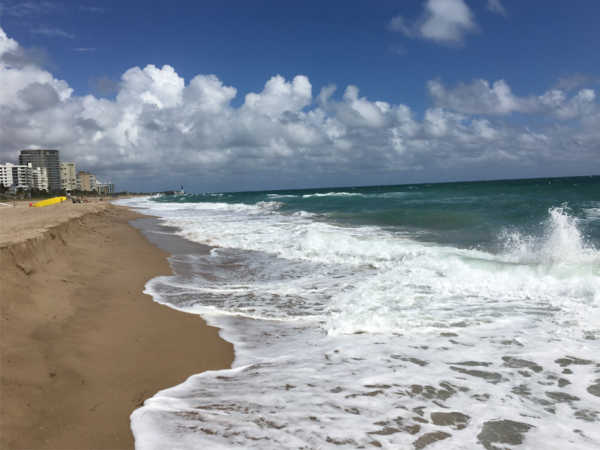 Mit Gutscheinen kaufen und 10-fache Miles & More Meilen sammeln adidas Zalando Rossmann Eventim toom Thalia Tchibo SportScheck cadooz