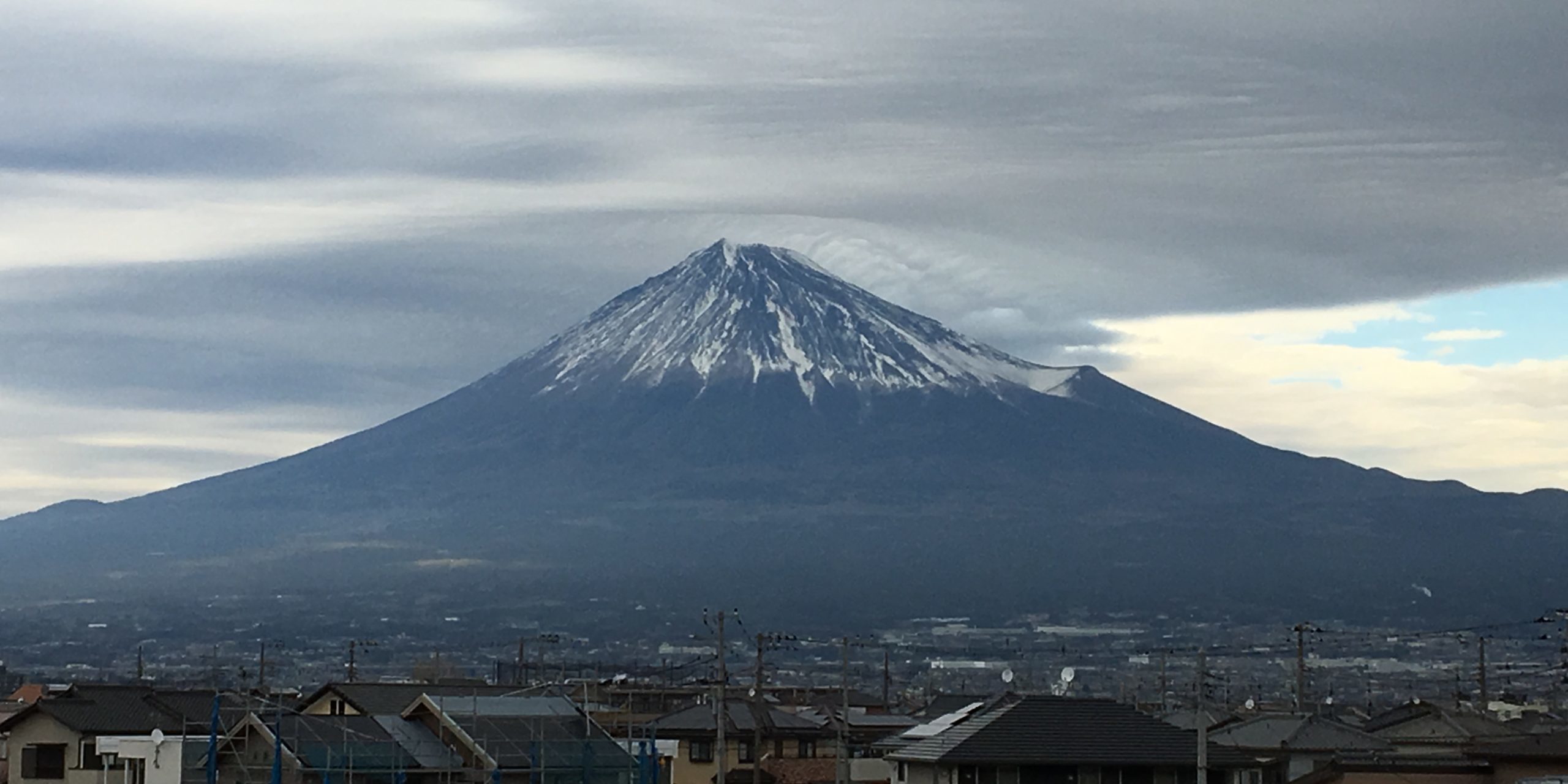 Bild Der Wissenschaft Abo Service