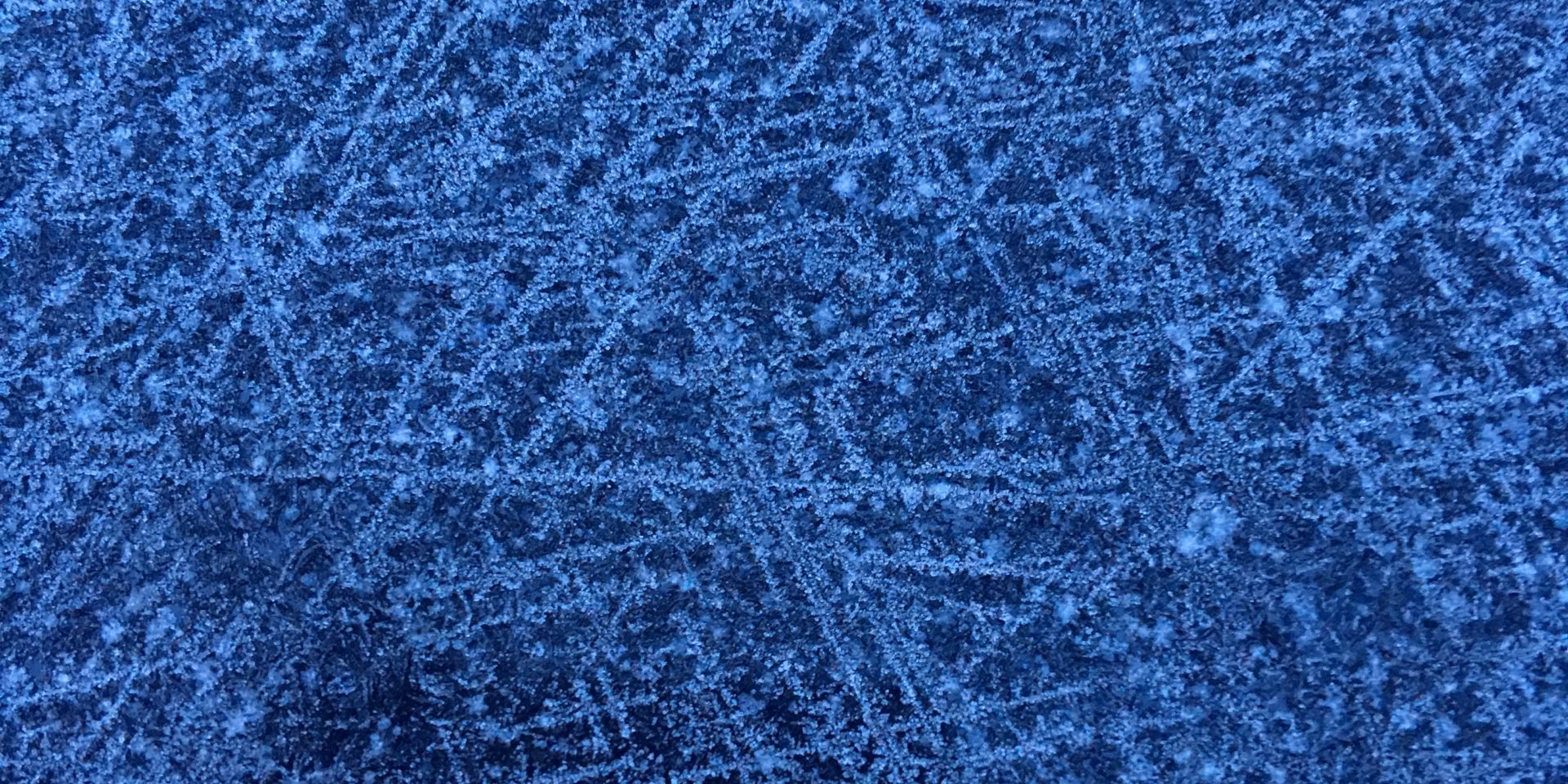 Täglich bis zu 200 Miles and More Meilen mit dem Win-Winter gewinnen