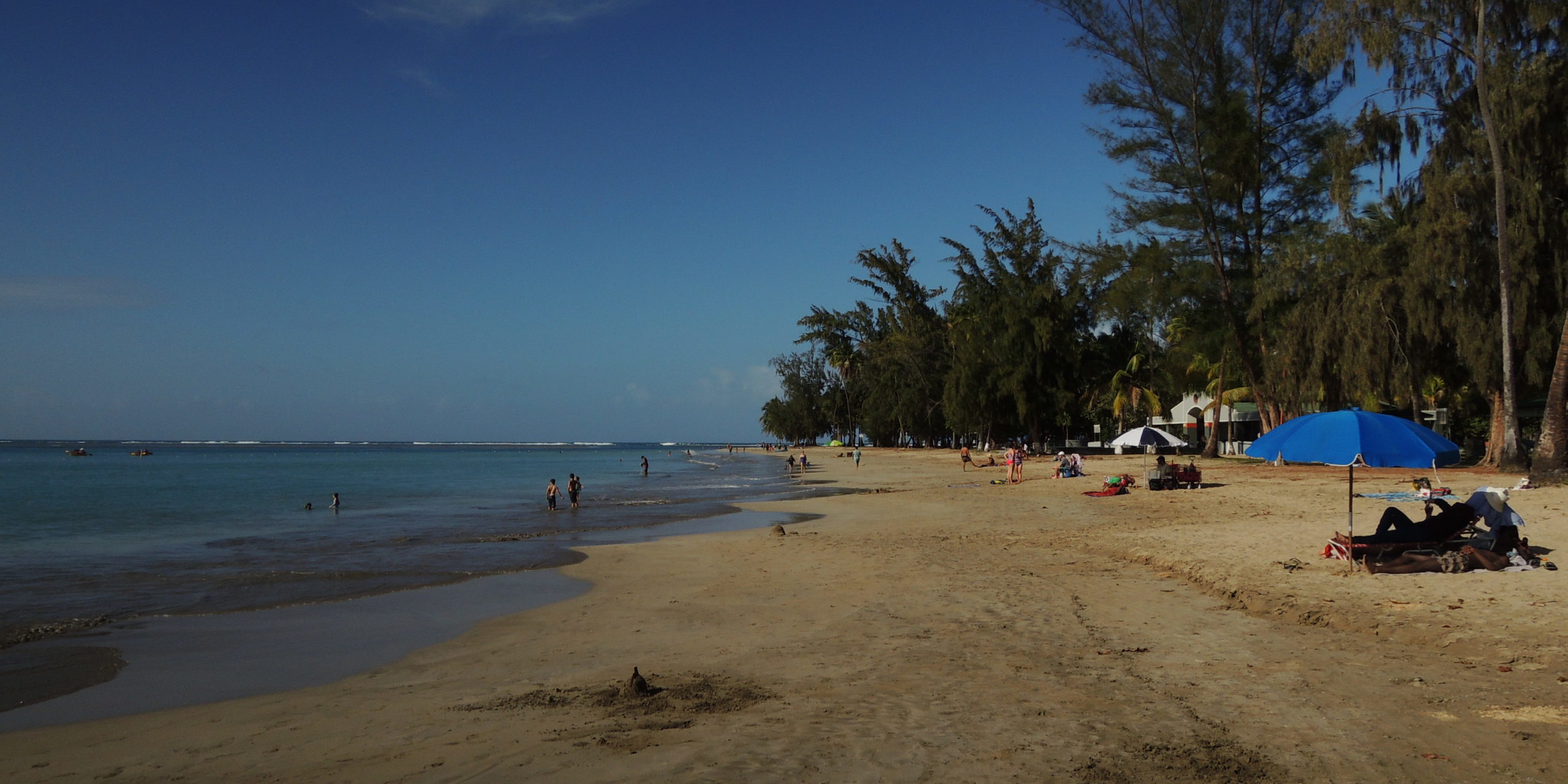 20.000 PAYBACK Punkte für 207,48€ mit einem Focus Digital Jahresabo BG