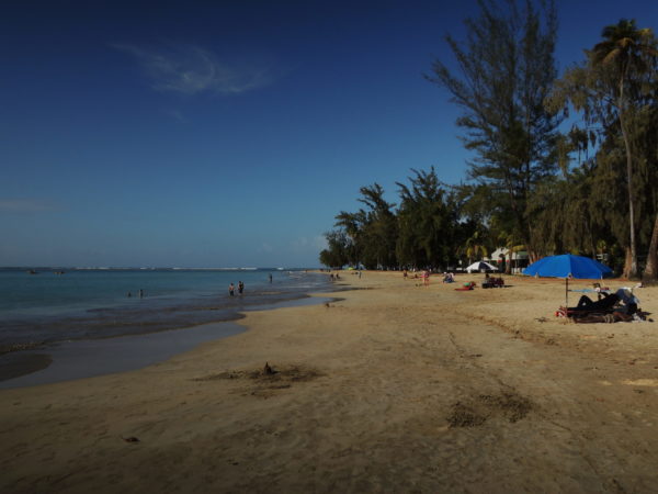 20.000 PAYBACK Punkte für 207,48€ mit einem Focus Digital Jahresabo BG