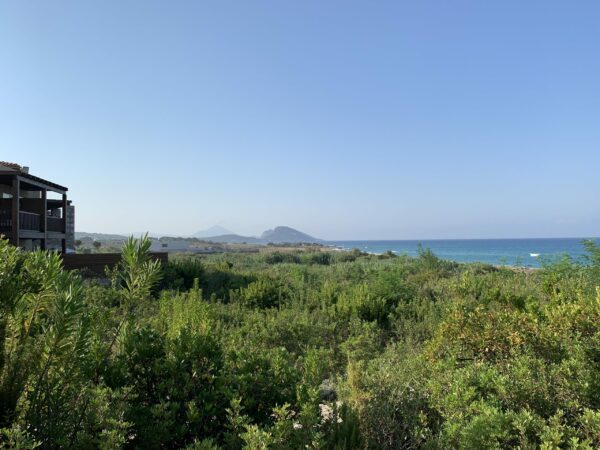 Ankündigung Wunschgutscheine ab 27.12.2021 bei PENNY