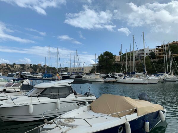 20.000 PAYBACK Punkte für 207,48€ und einem FOCUS DIGITAL Jahresabo