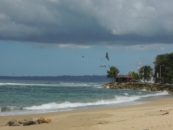 Sammelt 500 Amex ExtraPunkte bei einem Einkauf im ROSSMANN