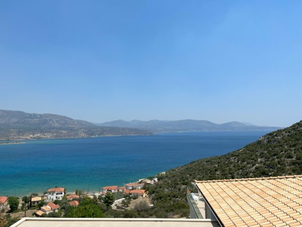 PAYBACK Punkte bei EDEKA Netto und Marktkauf sammeln August 2023