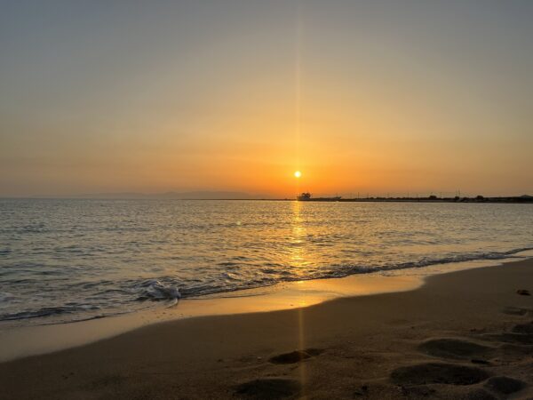 Wunschgutscheine bei Penny KW 12 2024