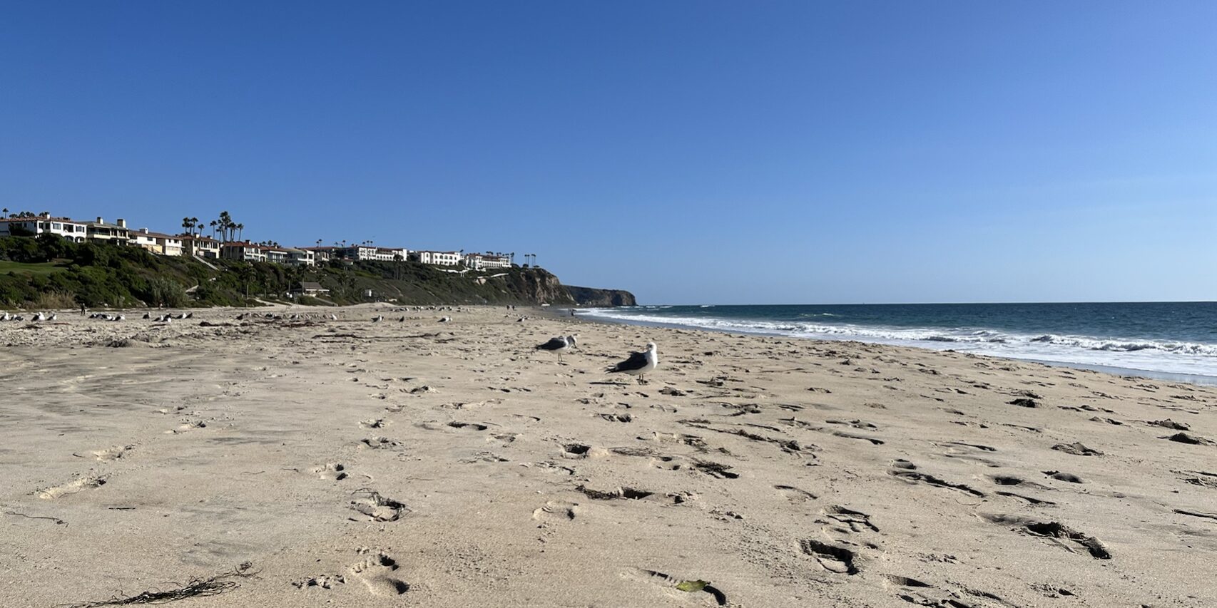 Mit der REWE Kartenwelt bei Amazon PAYBACK Punkte sammeln