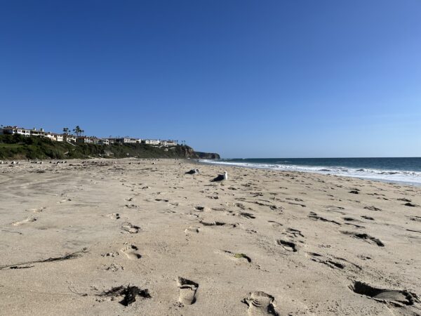 Mit der REWE Kartenwelt bei Amazon PAYBACK Punkte sammeln